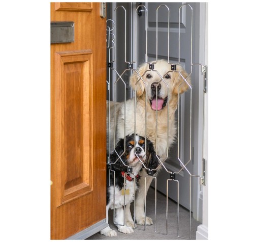 Retractable front door pet - front,
